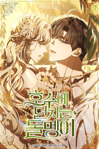 The Stone Thrown in the Lake cover