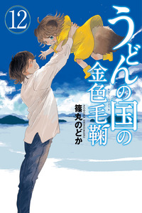 Udon no Kuni no Kin'iro Kemari cover