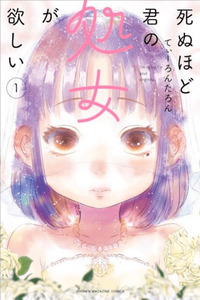 Shinu hodo Kimi no Shojo ga Hoshii cover