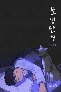 La historia de un gato cover
