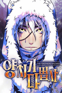 The Shepherd Wizard cover