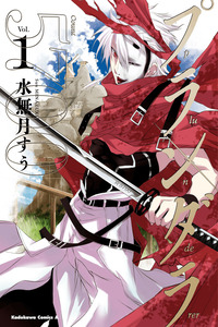 Plunderer cover