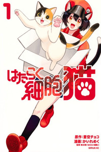 Hataraku Saibou Neko cover