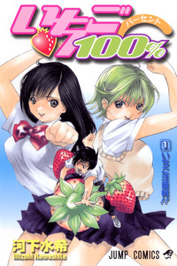 Ichigo 100% cover