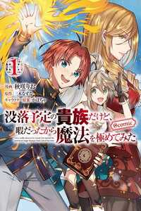 botsuraku yotei no kizoku dakedo, hima datta kara mahou wo kiwamete mita cover