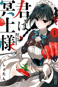 Kimi Wa Maid-Sama cover