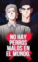 No Hay Perros Malos En Mundo