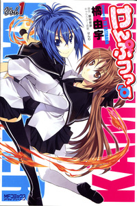 Kämpfer cover