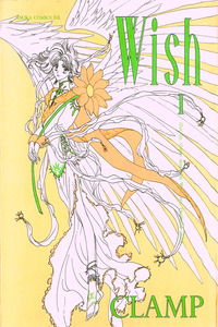 Wish cover