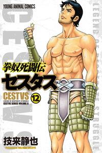 Kendo Shitouden Cestvs cover