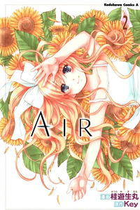 AIR cover