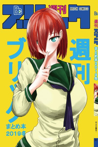 Shukan Brick cover