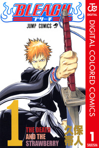 BLEACH Full Color cover