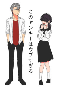 Kono Yankee wa Ubu Sugiru! cover