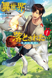 Isekai ni Otosareta… Jouka wa Kihon! cover