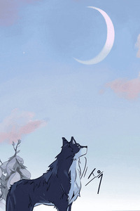 Wolf's Castle cover