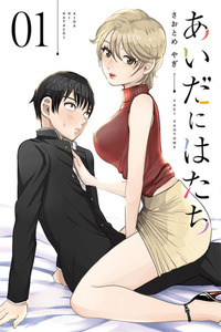 Aida ni Hatachi cover