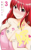 Bougyoryoku Zero no Yome
