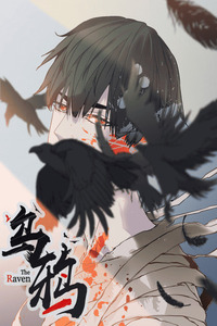 The Raven cover