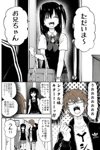 That Time I Borrowed a Rental Imouto cover