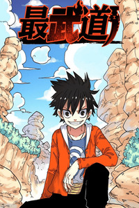 Peak of Martial Arts cover