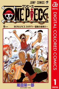 ONE PIECE Full Color cover