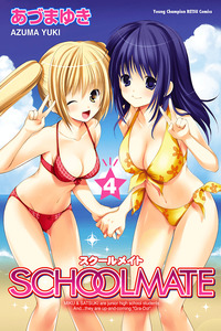 School Mate cover