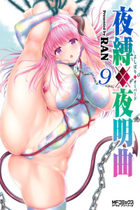 Night Bound ◆ Aubade cover