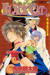 Black Cat cover