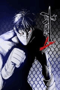 Fighters cover