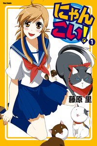 Nyan koi cover
