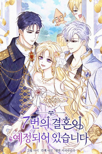 The Seventh Marriage Is Planned cover