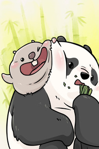 Compañeros de bambu cover