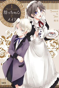 The Young Master and The Maid cover