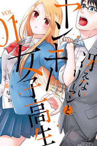 Saenai Riman to Yankee Joshi Kousei cover