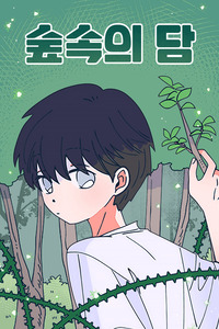 Dam of the Forest cover