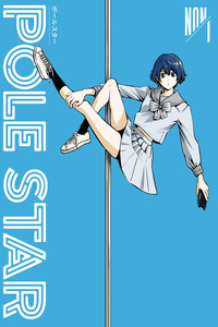 POLE STAR cover