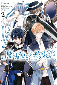 Promise of Wizard cover