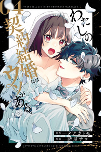 THERE IS A LIE IN MY CONTRACT MARRIAGE cover