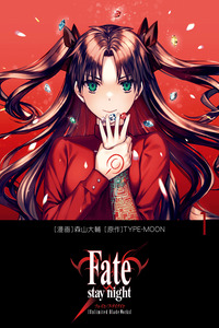 Fate/stay night [Unlimited Blade Works] cover