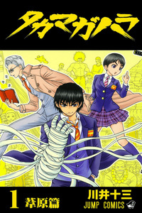 Takamagahara cover