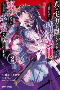 Shin no jitsuryoku o kakushite iru to omowareteru seireishi, jitsu wa itsumo meccha honki de tatakattemasu cover