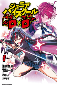 Junior High School DxD cover