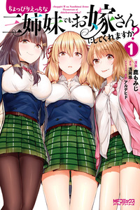 Choppiri Ecchi na Sanshimai demo, Oyomesan ni Shitekuremasuka? cover