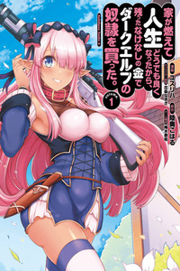 Ie ga Moete Jinsei Dou Demo Yoku Natta kara, Nokotta Nakenashi no Kin de Dark Elf no Dorei o Katta. cover
