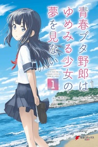 Seishun Buta Yarou wa Yumemiru Shoujo no Yume wo Minai cover