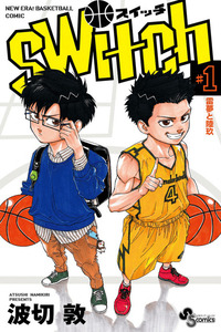 Switch cover