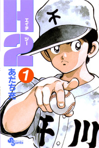 H2 cover