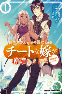 Isekai de Skill wo Kaitai shitara Cheat na Yome ga Zoushoku Shimashita Gainen Kousa no Structure cover