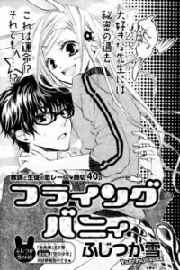 Flying Bunny cover